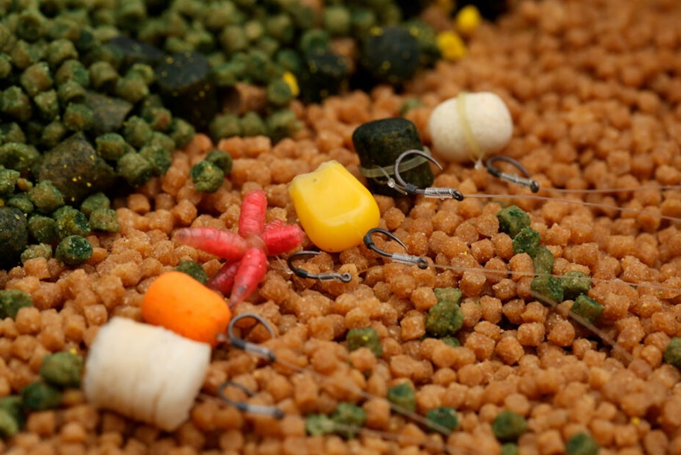 Tips for using bait bands, hair rigs and spikes Angling Times